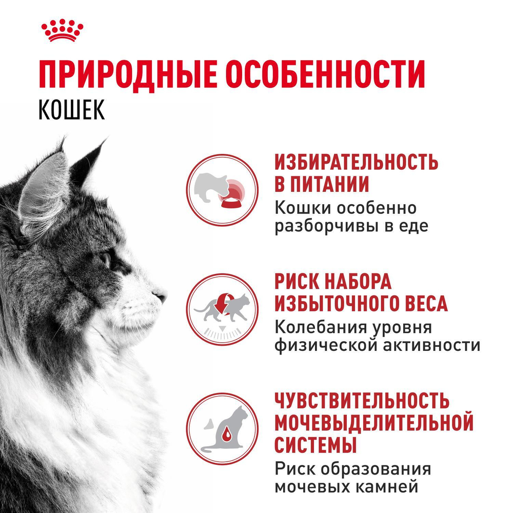 Royal Canin Instinctive Корм консервированный для взрослых кошек желе 85г