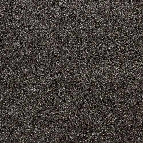 Ковровое покрытие AW Secret New 99