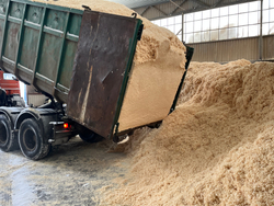 Вывоз (опилок) стружки древесной сухой от 27 кубометров Пухто