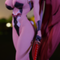 Baiken - Guilty Gear