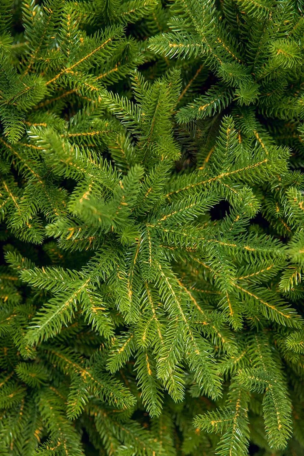 Ель искусственная «Юлия» (Литая хвоя) от 1,2 м до 3 м