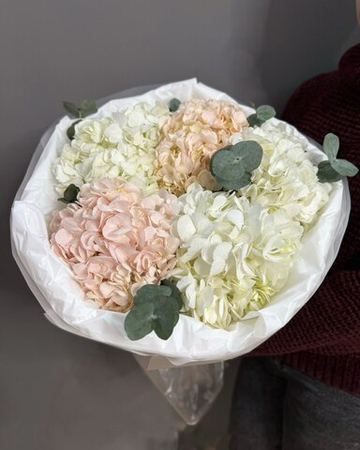 Букет из 5 гортензий с веточками эвкалипта