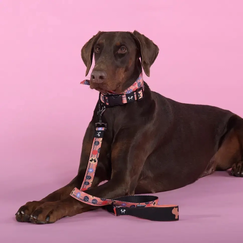 United pets complete me forever поводок для собак, 140 см, 16 мм, оранжевый с рисунком