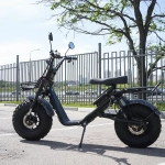 EcoMoto Lion Off-Road E1200W Back Edition