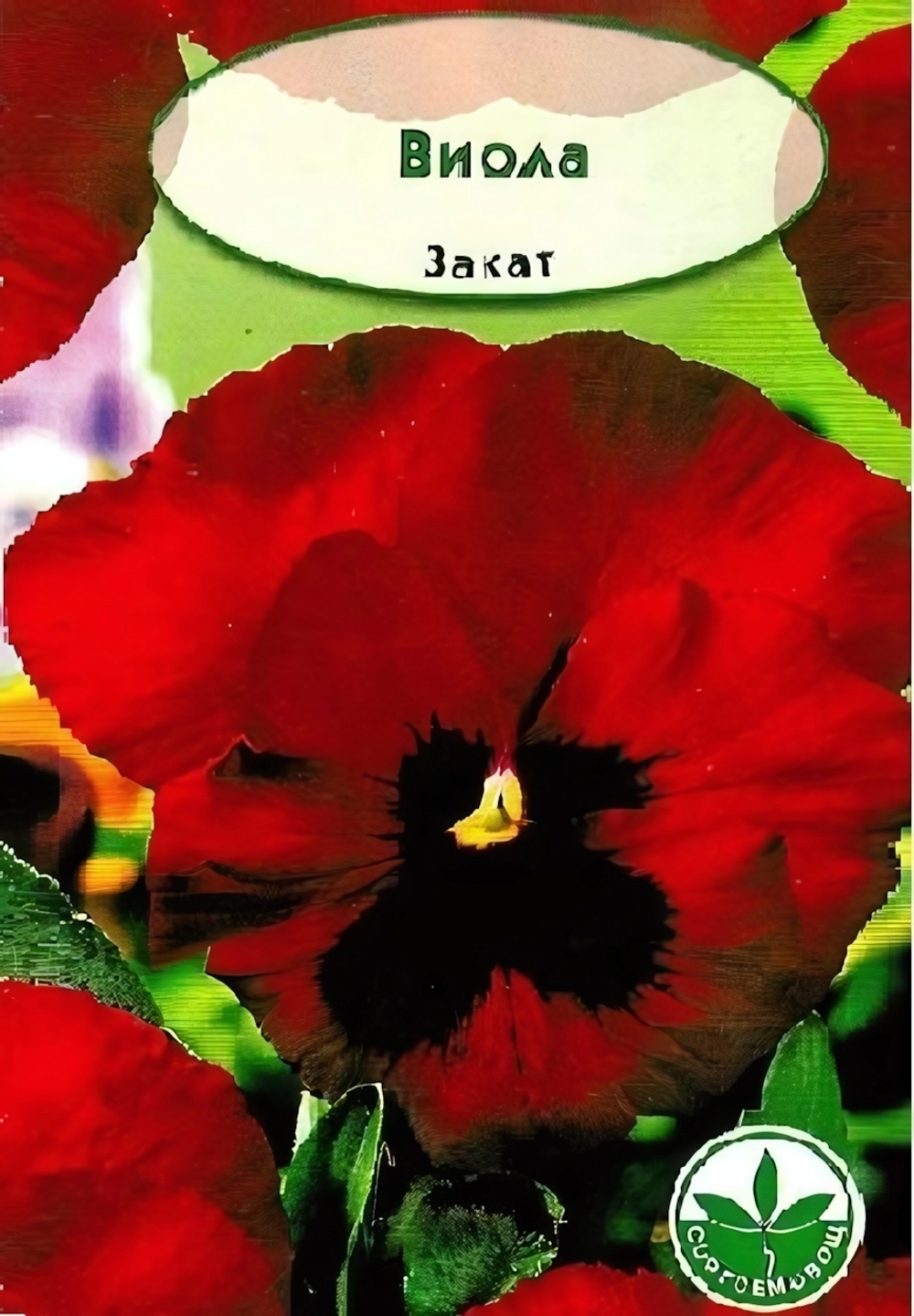 Фиалка Вит. Закат т-красная 7шт 238204