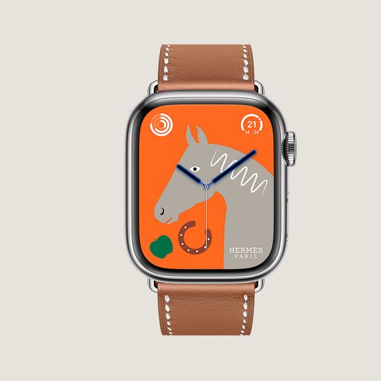 Apple Watch Hermès Series 9 41 mm Simple Tour