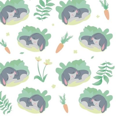 Спящий зайка