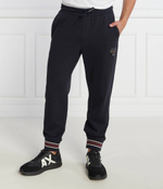 Спортивные штаны Armani Exchange - темно-синий(6RZPJF ZJDPZ)