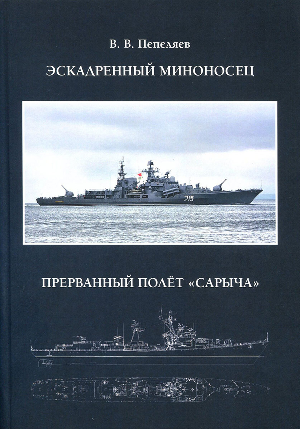 Эскадренный миноносец. Прерванный полёт «Сарыча»