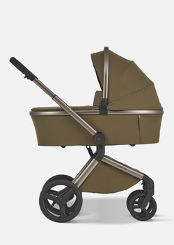 Anex Детская коляска Flo 2 в 1 Astra