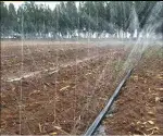 Лента оросительная Golden Spray | Спрей-лента туман, 100м, д. 50мм