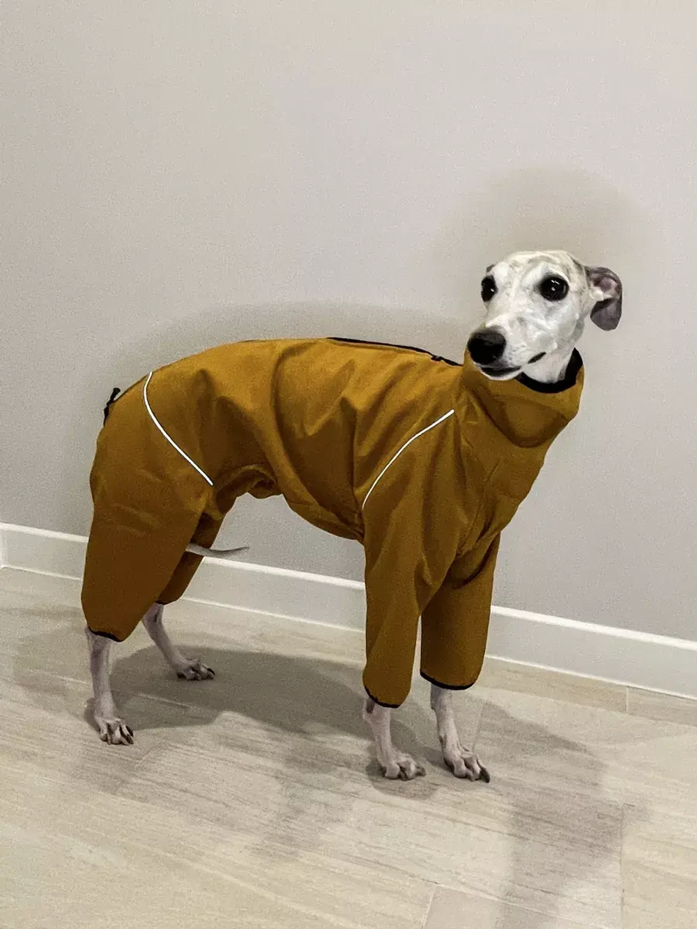 Комбинезон для собак одежда для Уиппета