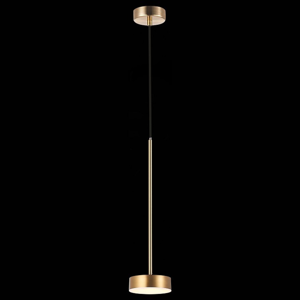 Подвесной светильник ST-Luce SL6000.303.01