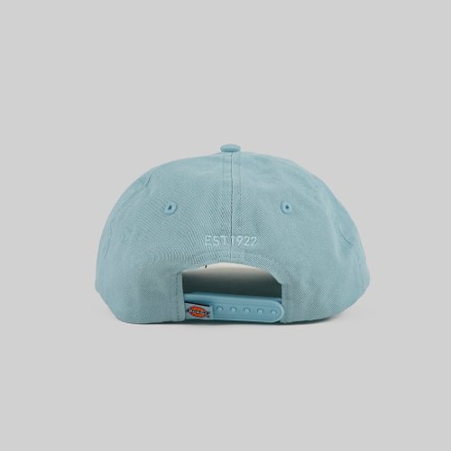 Кепка Dickies 6 Panel Logo артикул:DK0A4TKVB551 - купить в магазине Дайс