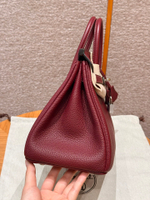 Hermes Birkin 25