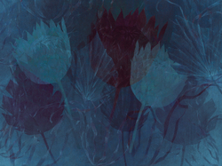 SERENE 20
