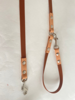 Перестежка повдок для собак, БИОТАН 3 м , коричневый / бежевый