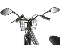 Электровелосипед GREEN CITY e-ALFA Trike (черный)