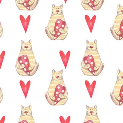 котики