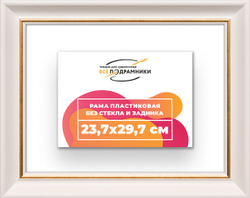 Рама 23,7x29,7 для картин и фотографий
