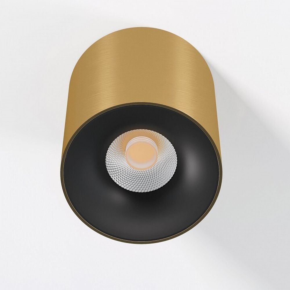 Накладной светильник Elektrostandard Primo 25116/LED