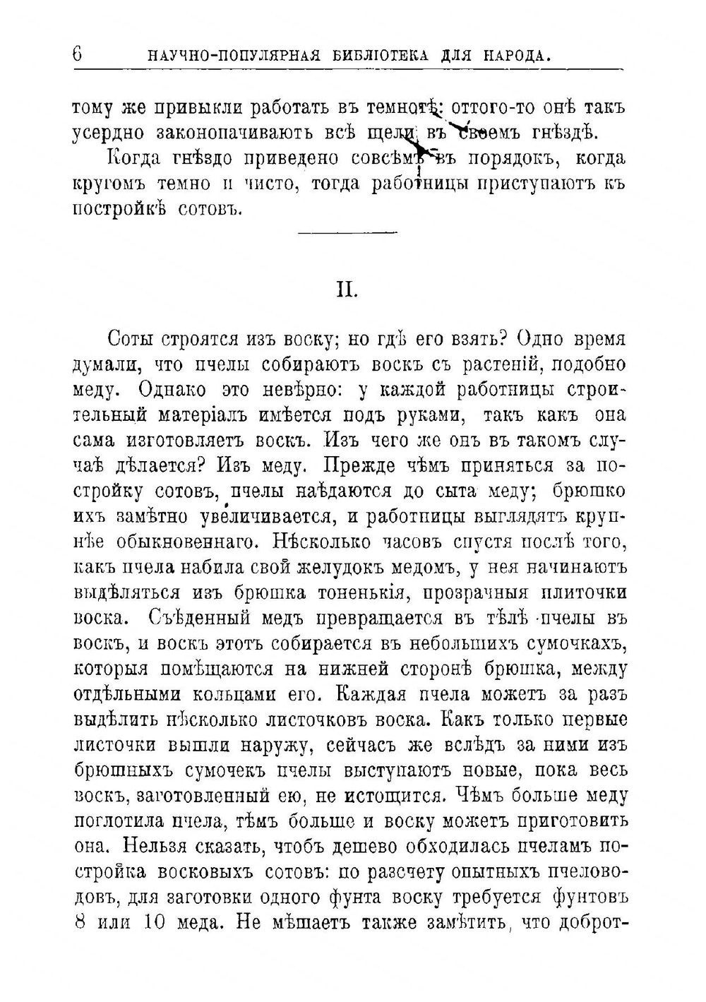 Пчелы, осы и термиты | Лункевич Валериан Викторович