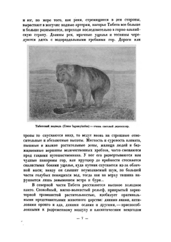 Тибет и Далай-лама | П. К. Козлов