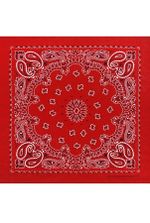 Красная мужская бандана фото