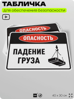 Табличка для обеспечения безопасности "Опасность падение груза", для производства, предприятия, организаций, 40х30 см, Silver Plane x Айдентика Технолоджи