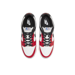 Кроссовки Nike Dunk Low EMB NBA 75th