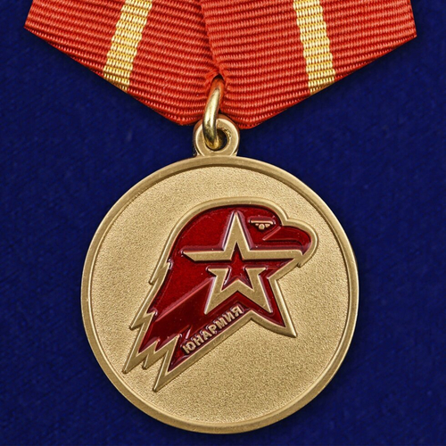 Медаль для юных защитников Родины 1 степени