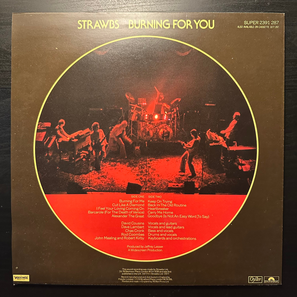 Strawbs - Burning For You (Англия 1977г.)