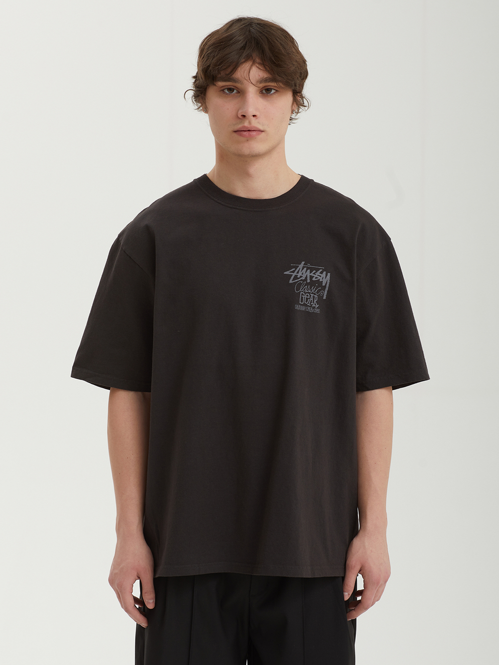 Мужская Футболка Basic Stussy Pig. Dyed