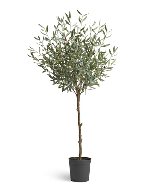 Олива Топиари Шар (серия Prime)