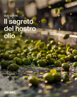 Оливковое масло DANTE di Sansa di Oliva (Pomace) 0,75л рафинированное Италия