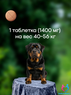 Рабектра 500 мг жевательная таблетка против блох и клещей для собак весом 10-20 кг, 1 таблетка