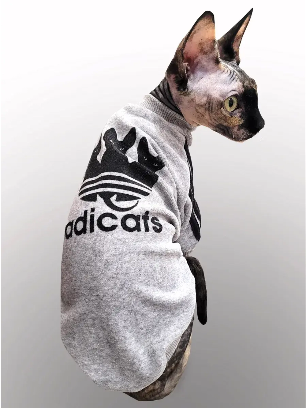 Одежда для кошек