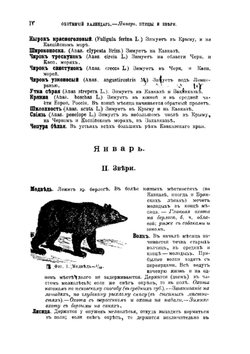 Охотничий календарь. Справочная книга для ружейных и псовых охотников | Л. П. Сабанеев