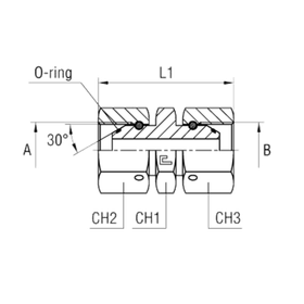Соединение PSN BSP 1/8 - BSP 1/8