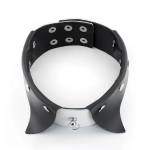 Ошейник воротничок с поводком цепочкой кожа черный белый