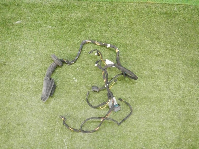 Проводка двери задняя левая BMW X5 E53 (1999-2006)