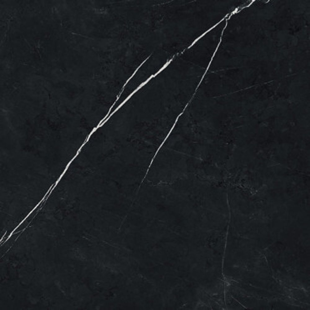 Керамогранит FORTE DEI MARMI Elegant Black Rett (600010002409)