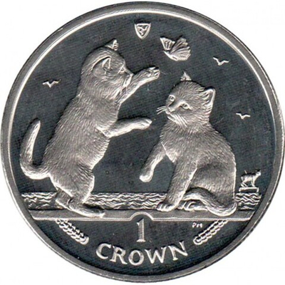 Тонкинская кошка