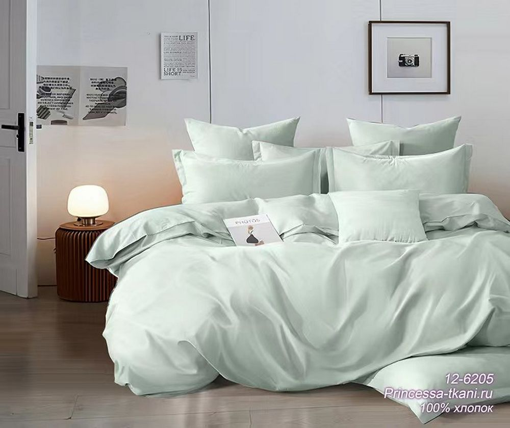 Комплект постельного белья 2-сп с простыней на рез.160Х200 ПОПЛИН "Мята 12-6205 ЕМ" (нав. 50х70 или 70х70)