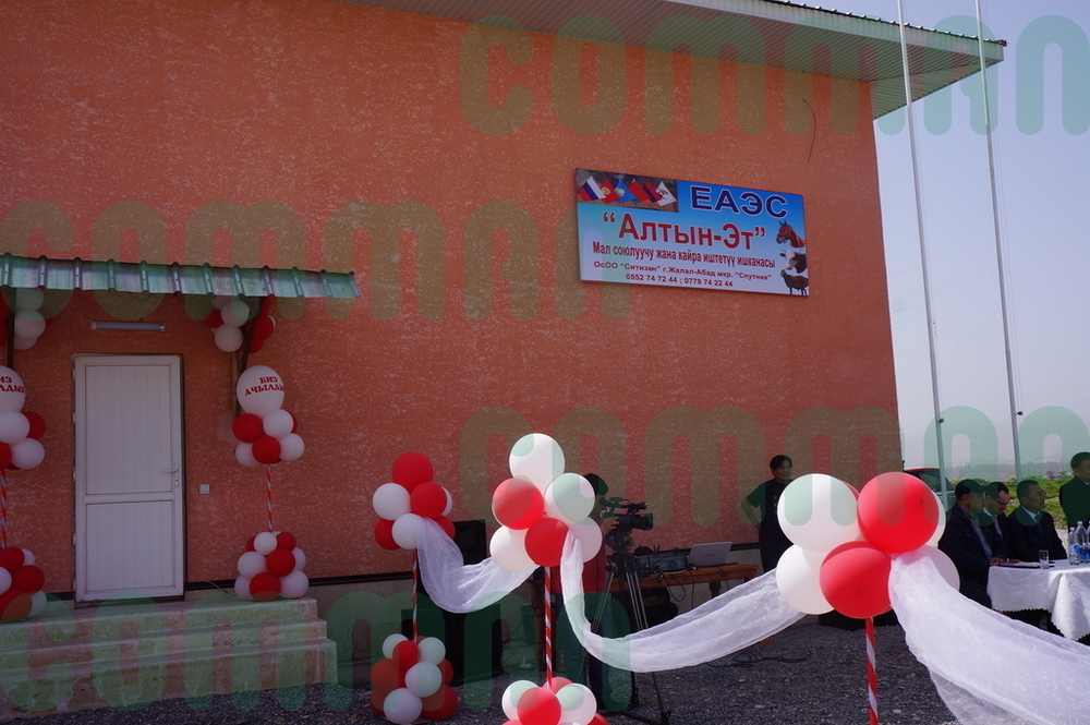 Цех ритуального убоя КРС до 40 голов/смену и МРС до 400 голо/смену с охлаждением. р. Кыргызстан. Джала-лабад