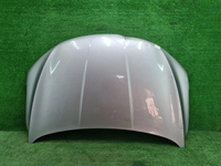 Капот Geely Coolray (2019-2023)