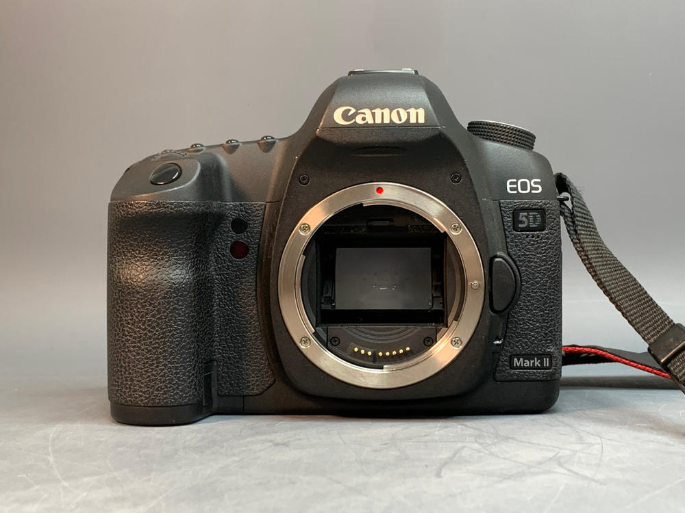 Canon EOS 5D Mark II 12.450 кадров