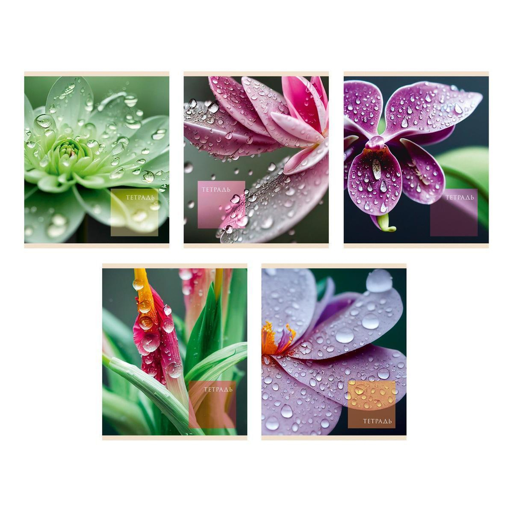 Тетрадь А5 48л клетка "Чарующая природа" (Эксмо)