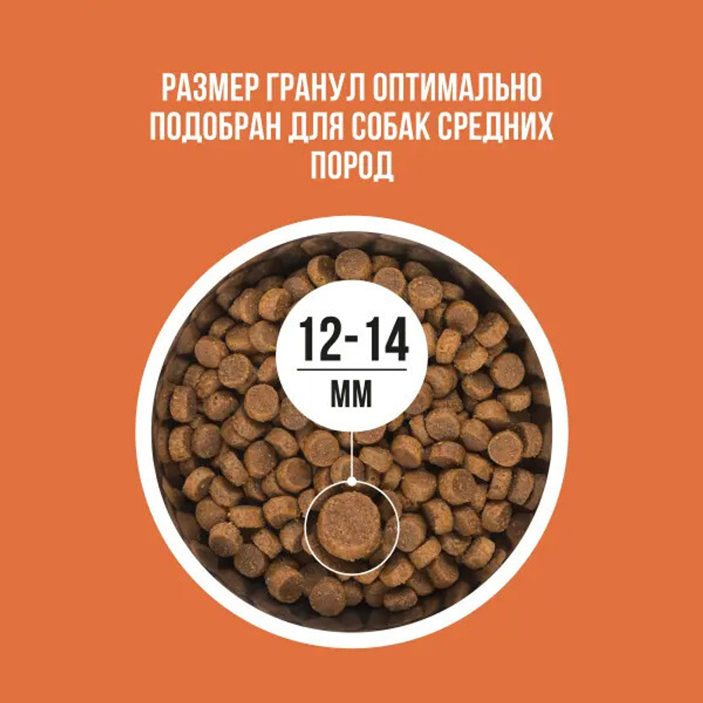 Сухой корм для собак средних пород с чувствительным пищеварением или склонных к аллергии с ягненком, индейкой, рисом и морковью BOWL WOW 5кг