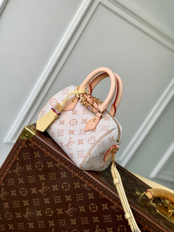 Louis Vuitton Speedy 18